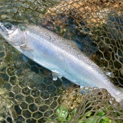 また高島の泉へ